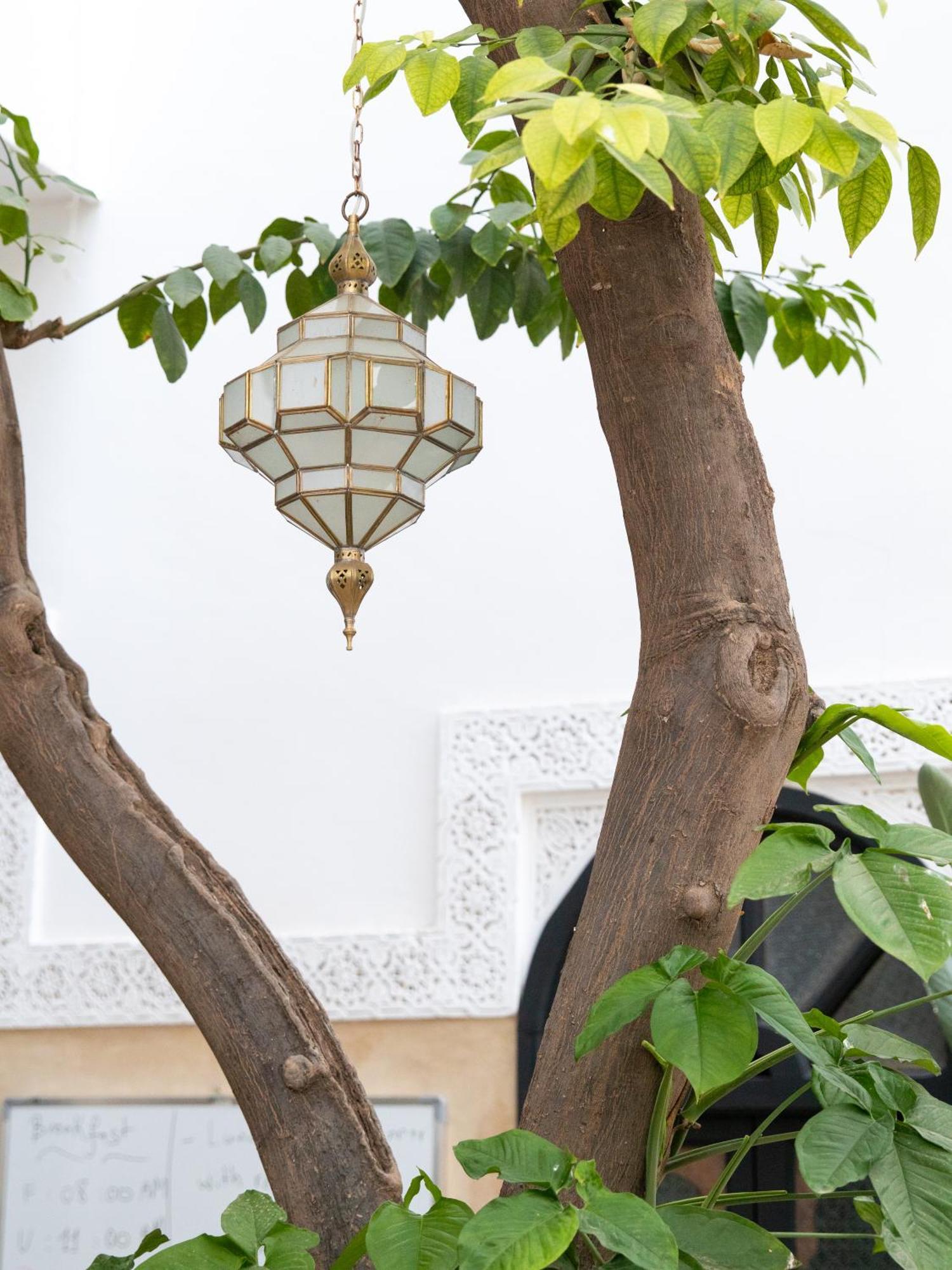 Amegrad * Marrakesh