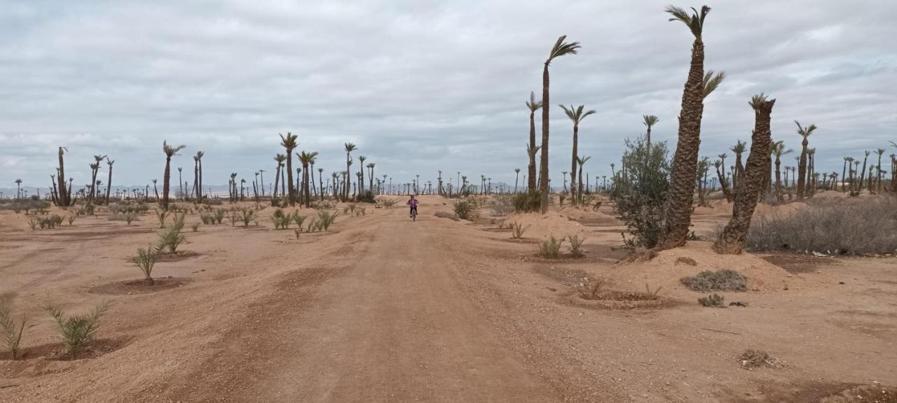 Amegrad Marrakesh